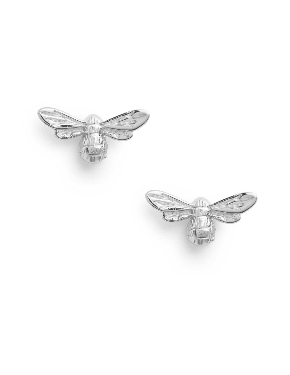 Aretes de plata con acabado brillante 2