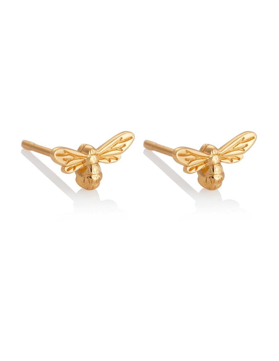 Aretes de plata con acabado brillante