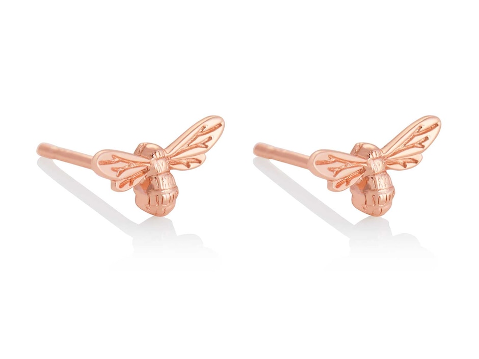 Aretes de plata con acabado brillante