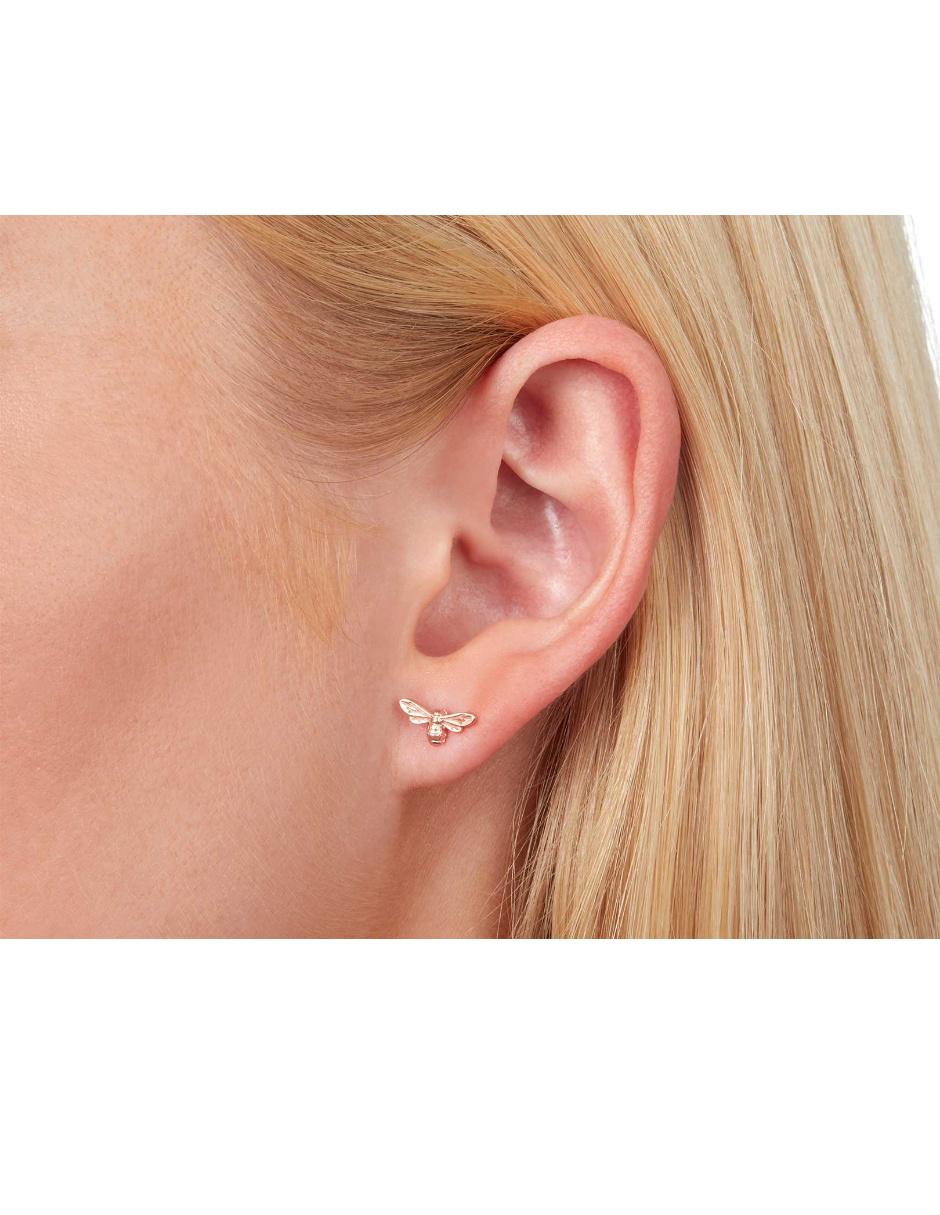 Aretes de plata con acabado brillante 2
