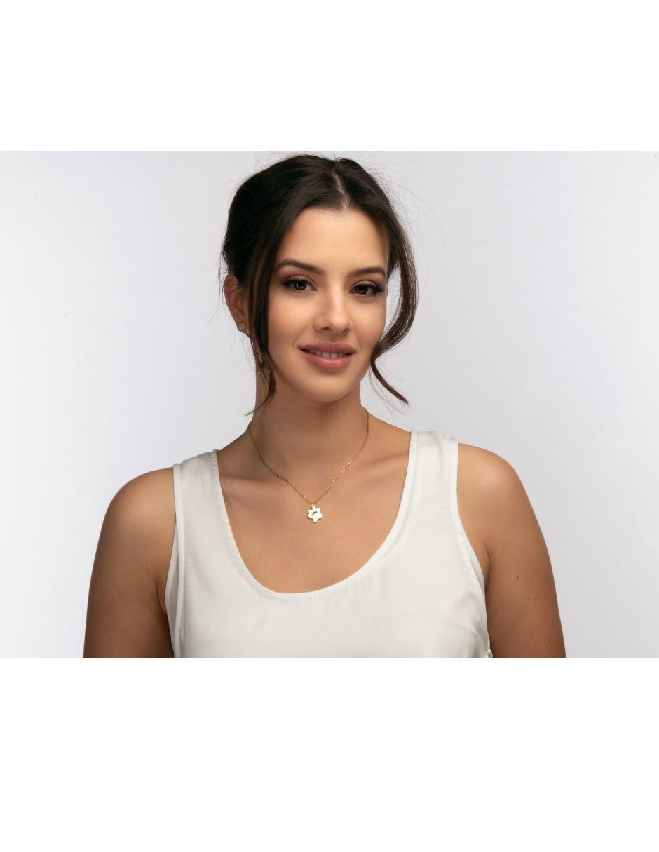 Collar 4