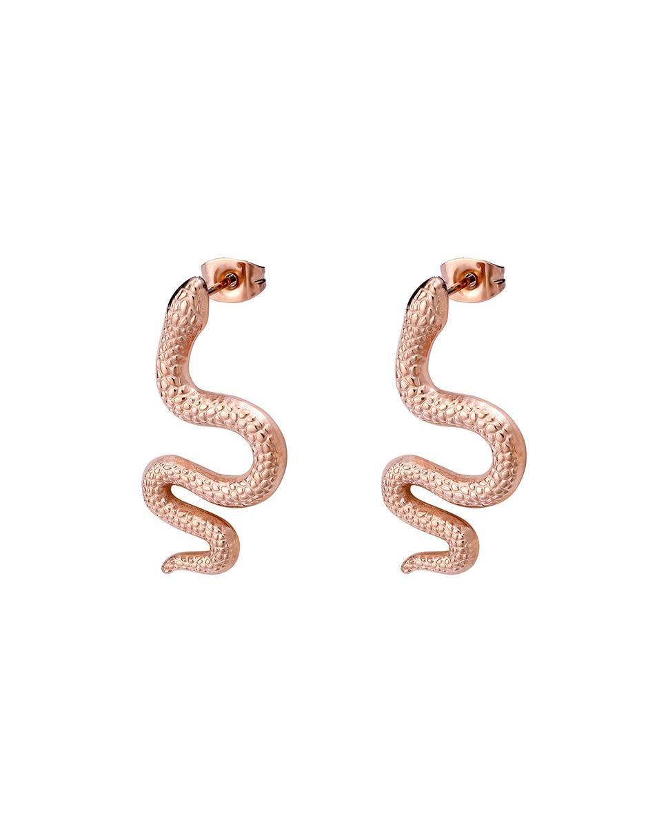 Aretes con acabado brillante