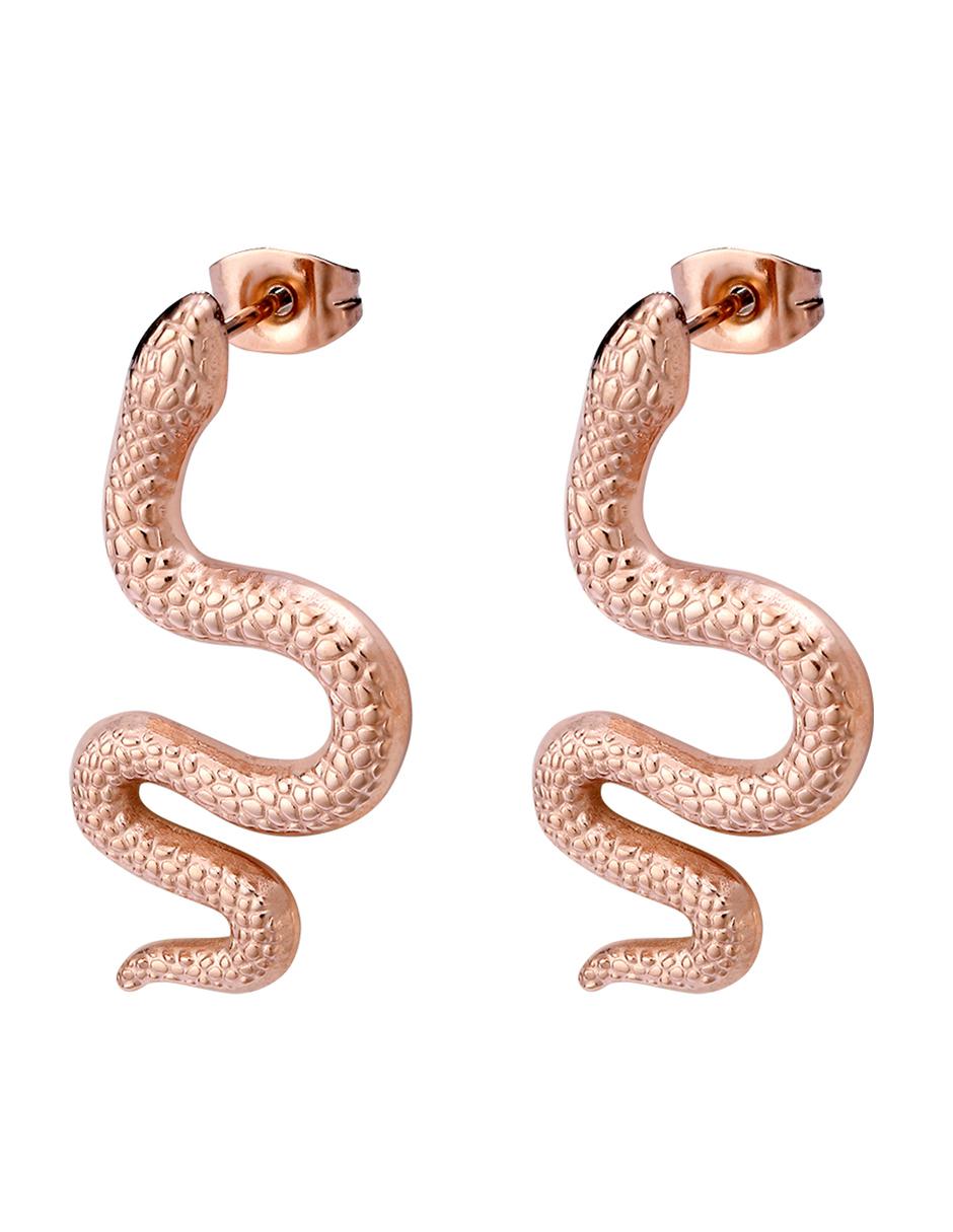 Aretes con acabado brillante 2