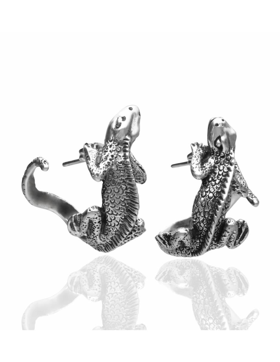 Broqueles de plata con acabado brillante 1