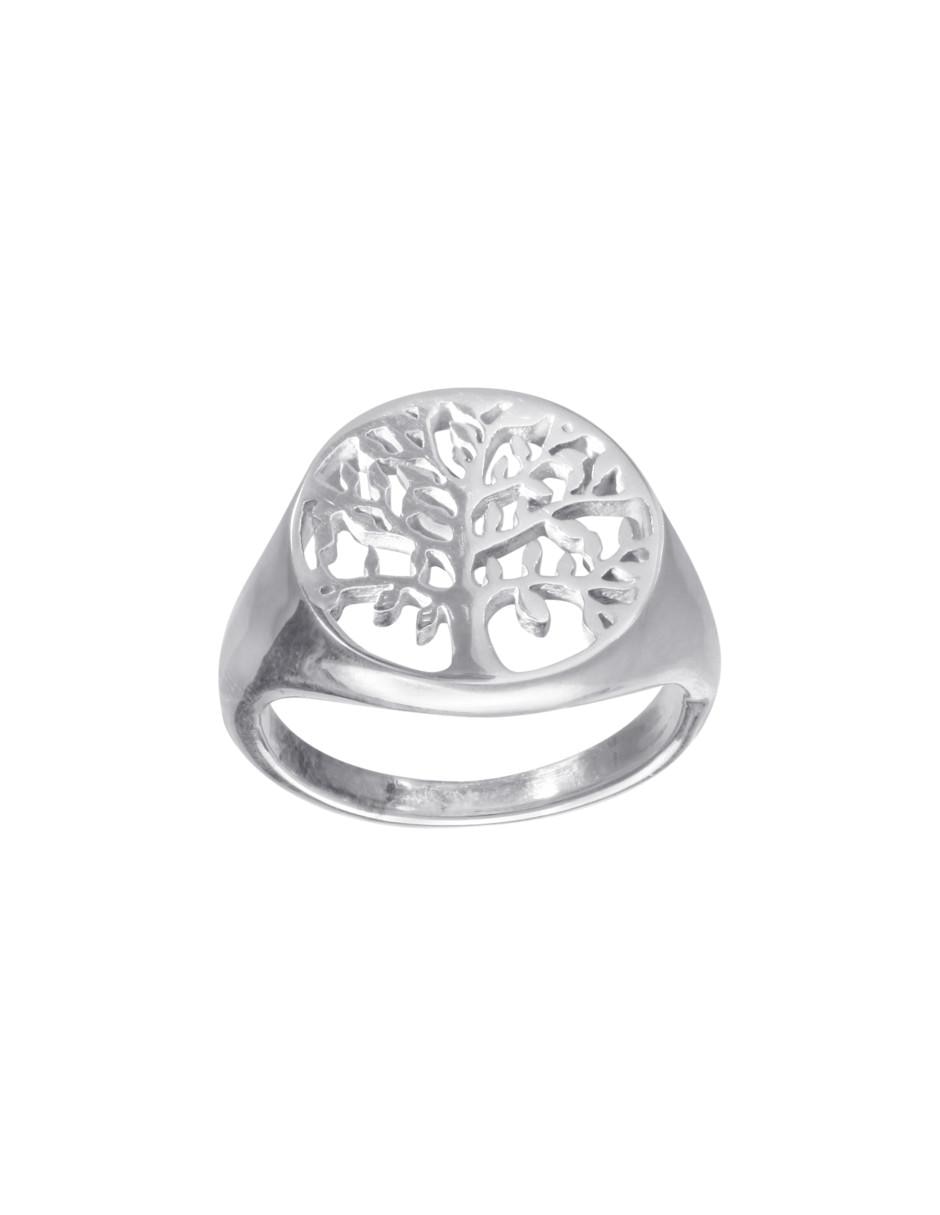 Anillo de árbol pulido