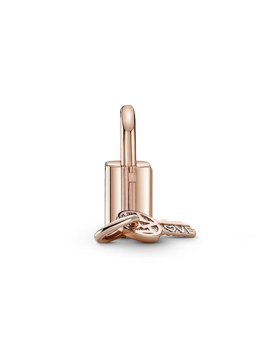 Charm de plata 14 K zirconia cúbica 5