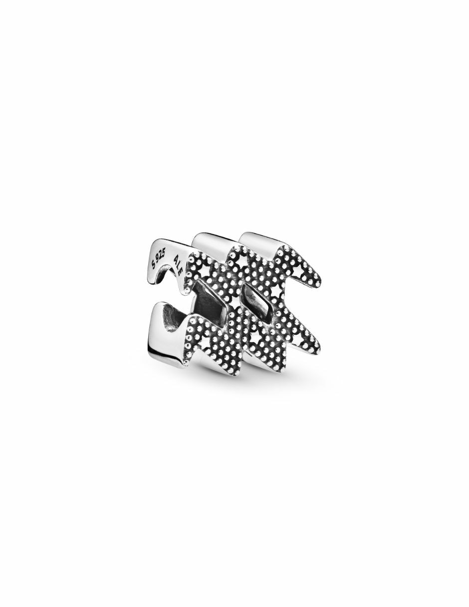 Charm de signo zodiacal de plata P 925 zirconia cúbica 2