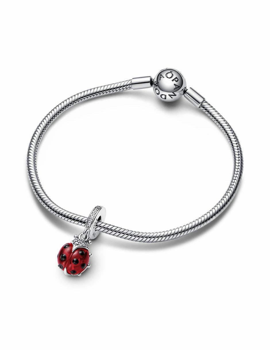Charm de catarina moments de plata P 925 3