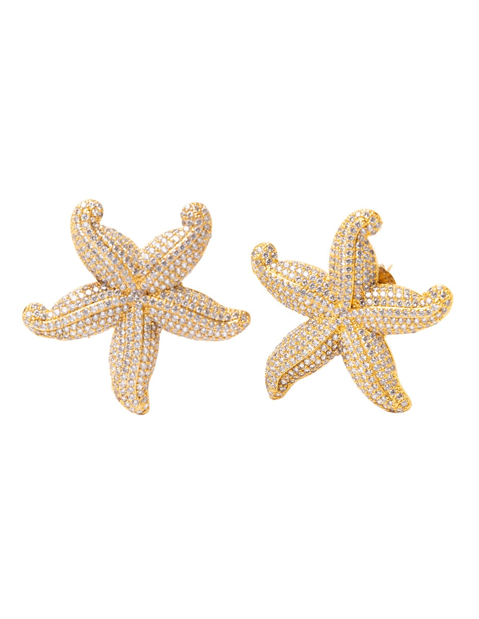 Aretes de estrella mar P 925 con acabado brillante Aretes de estrella mar P 925 con acabado brillante
