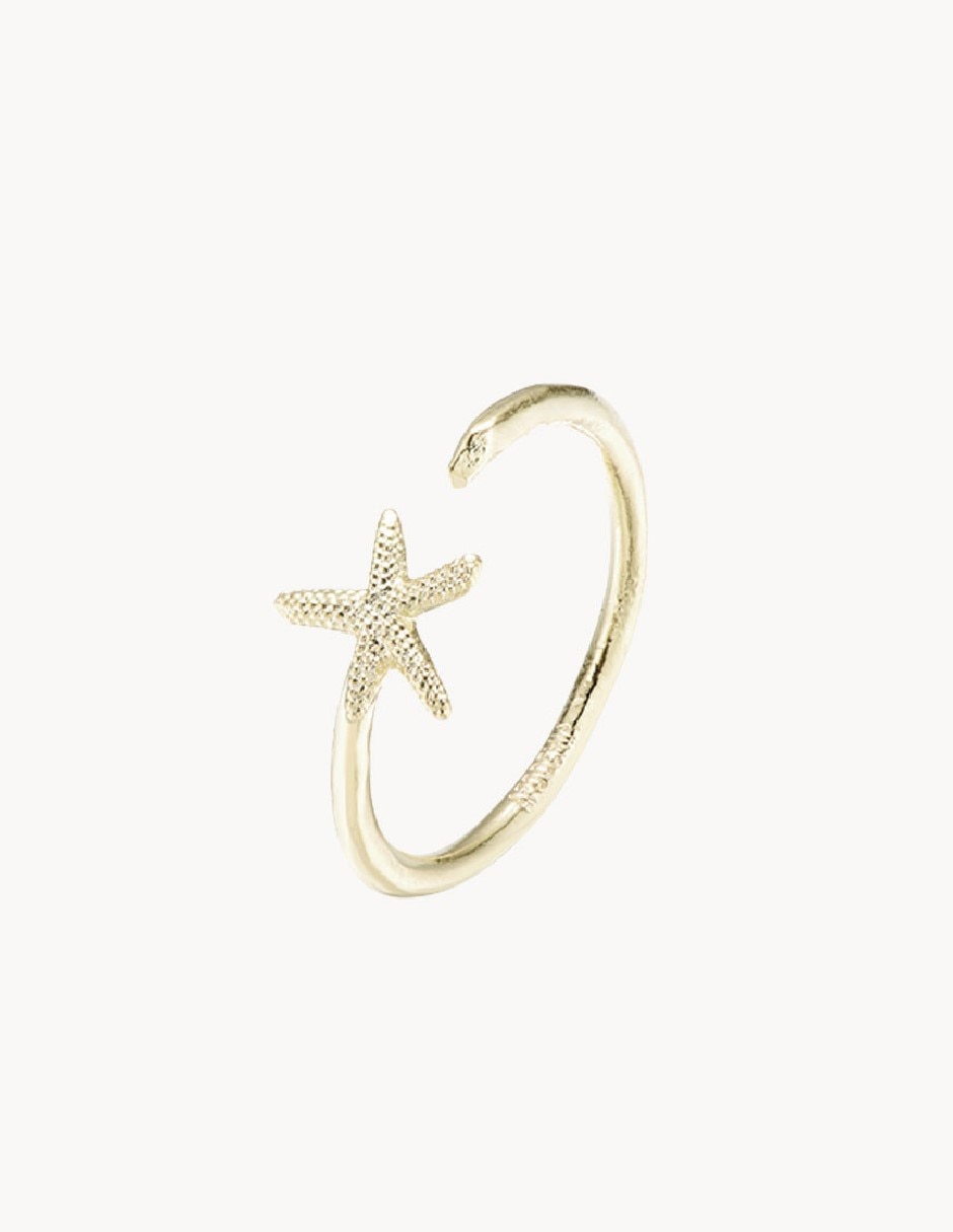 Anillo de estrella Somers brillante