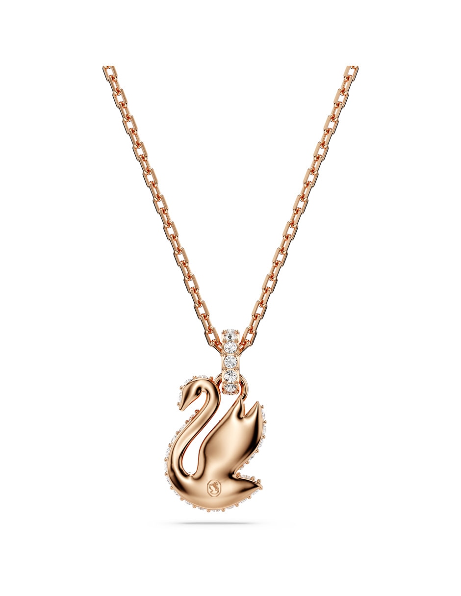 Collar de cisne 3