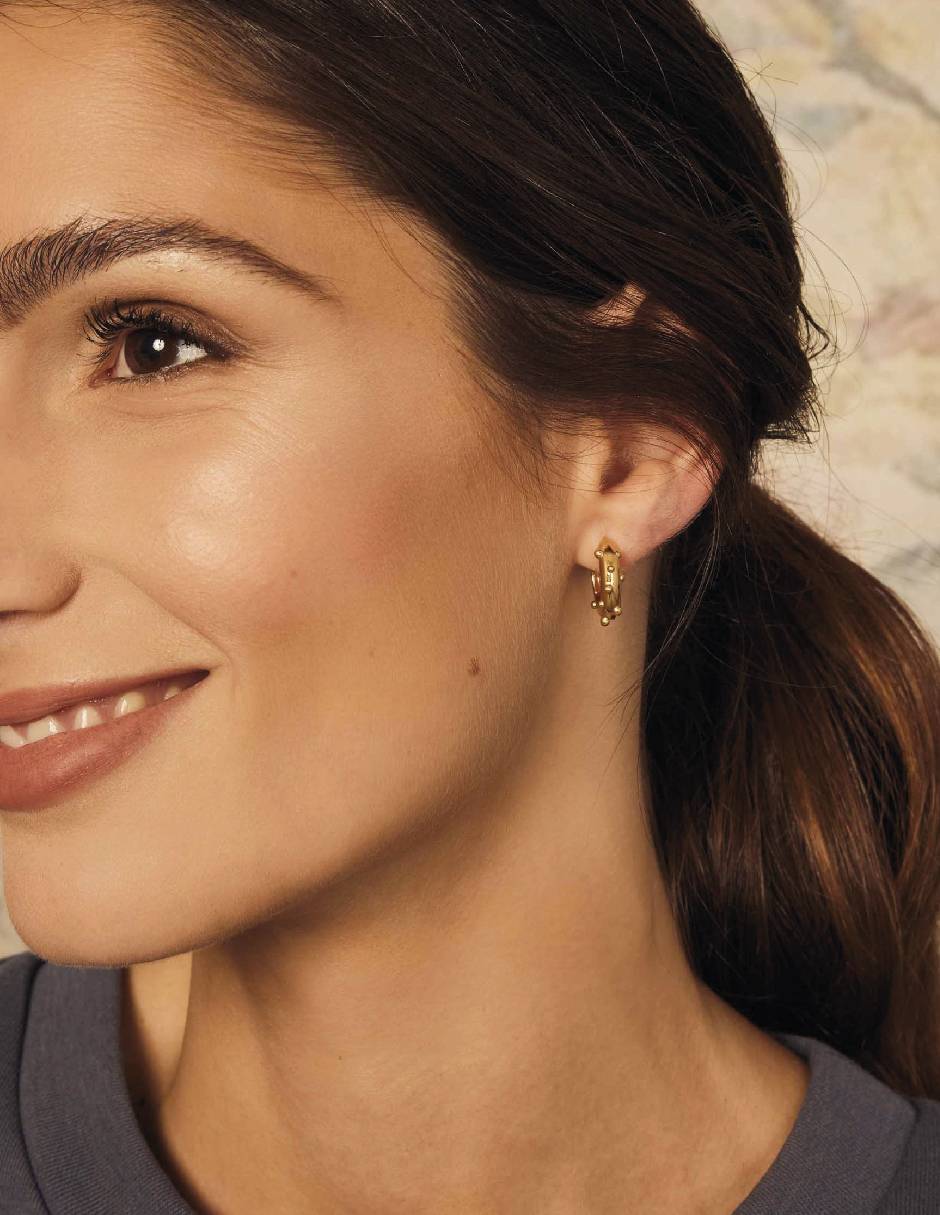 Aretes redondos Dragonfly con acabado baño de oro 2