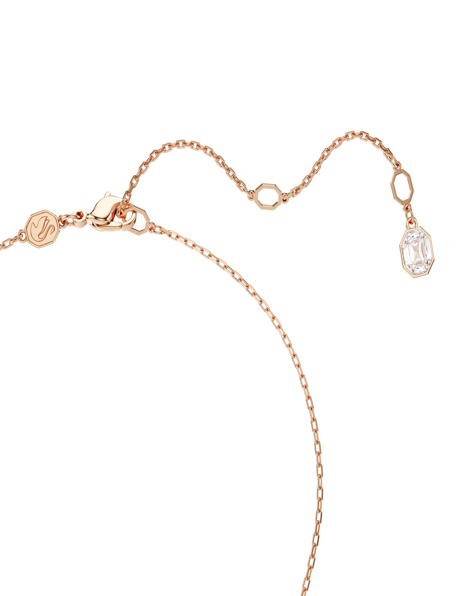 Collar Dextera 2
