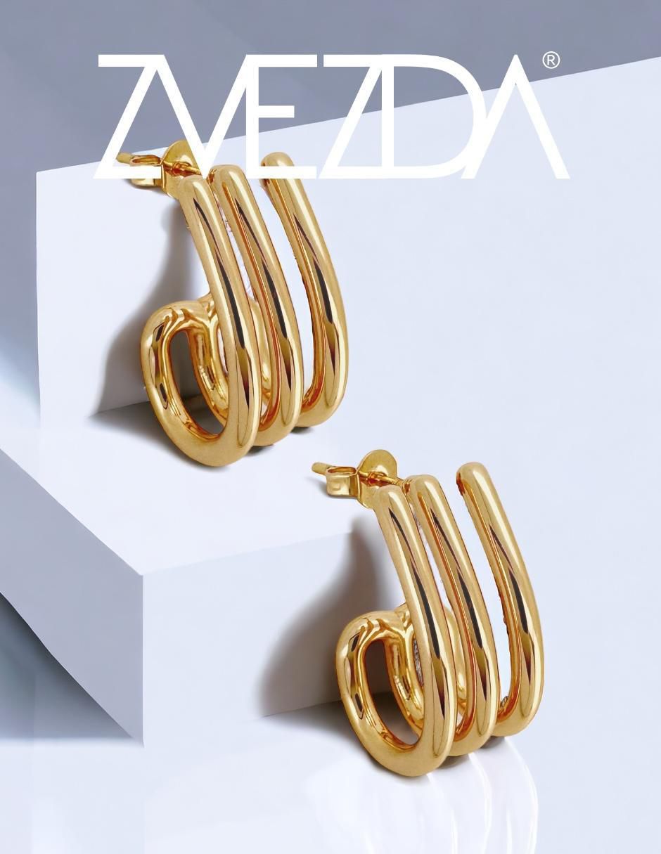 Aretes y anillo Garra