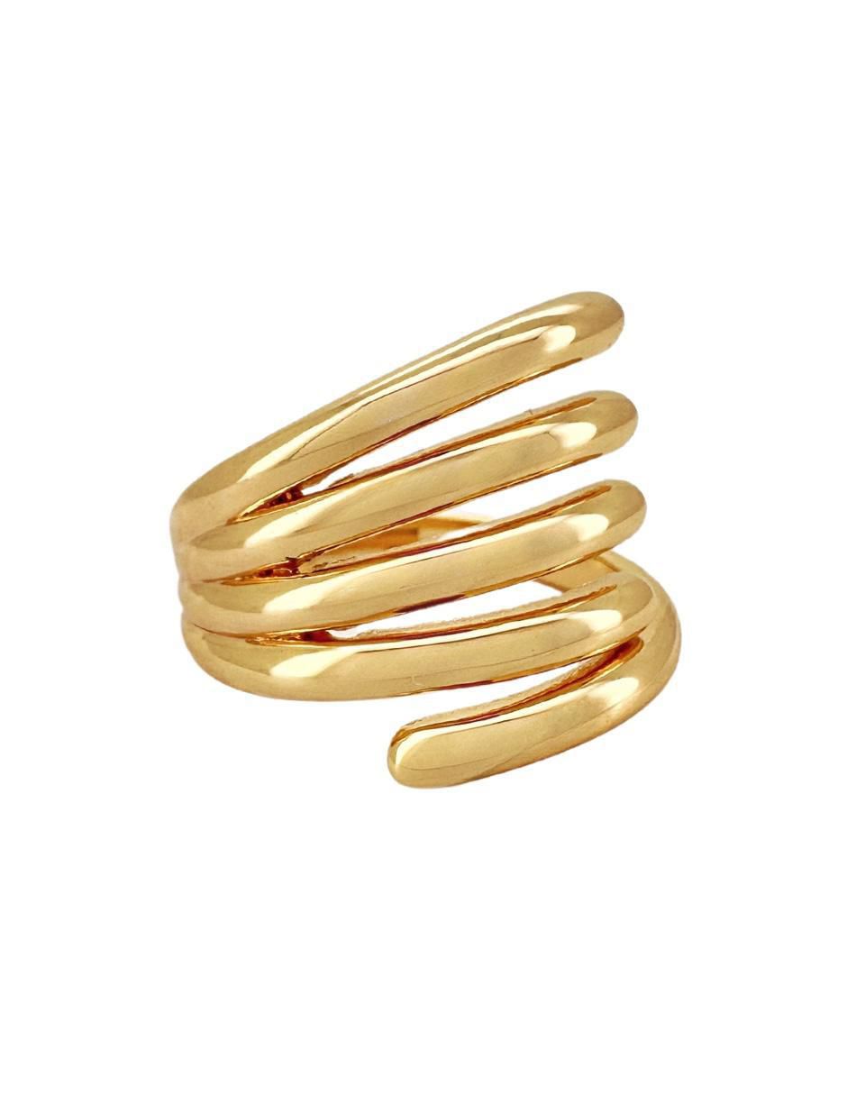 Aretes y anillo Garra 6