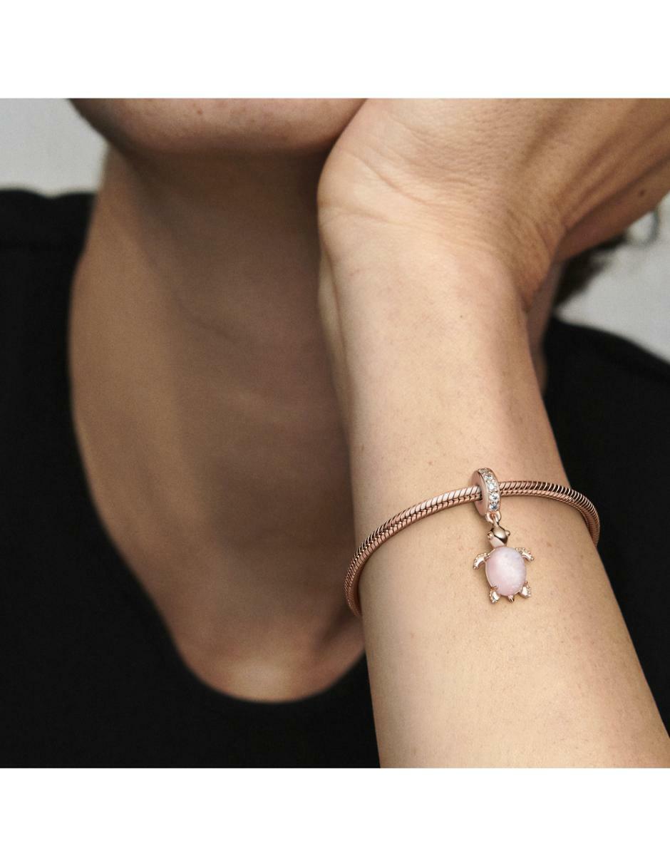 Charm de tortuga moments de plata P 925 6