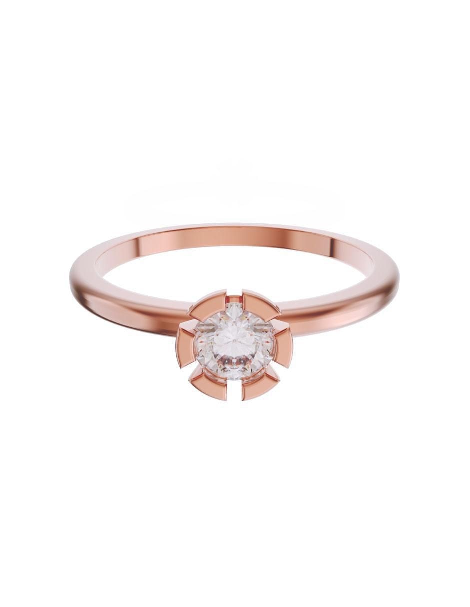 Rosa 3