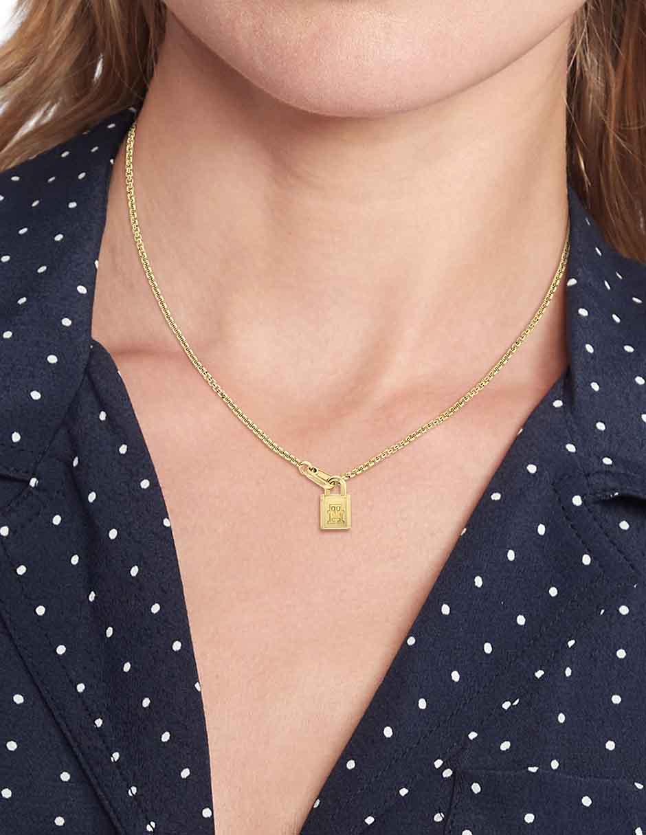 Collar de candado American Icon 3
