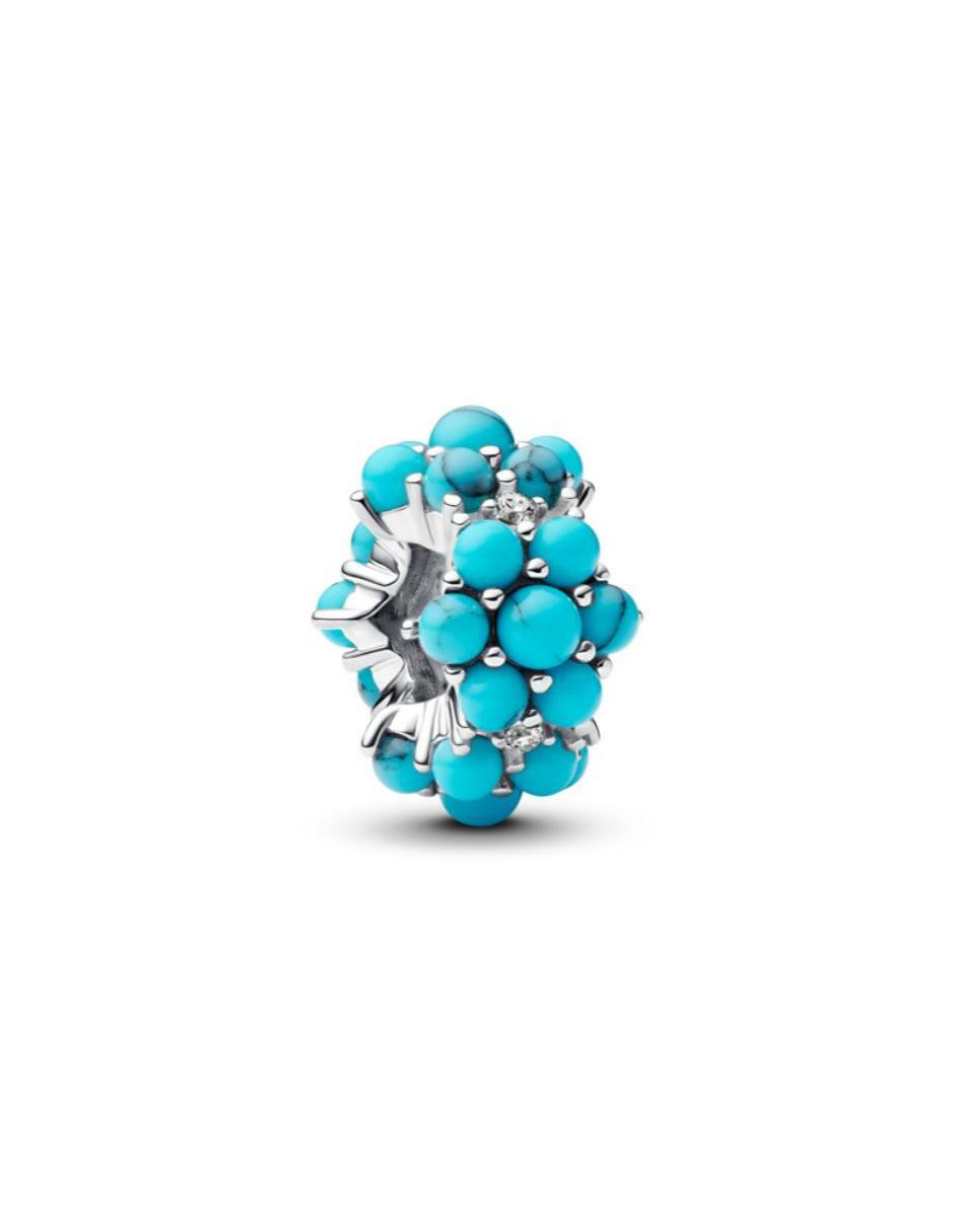 Charm moments de plata P 925