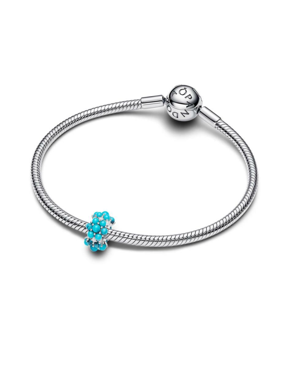 Charm moments de plata P 925 2
