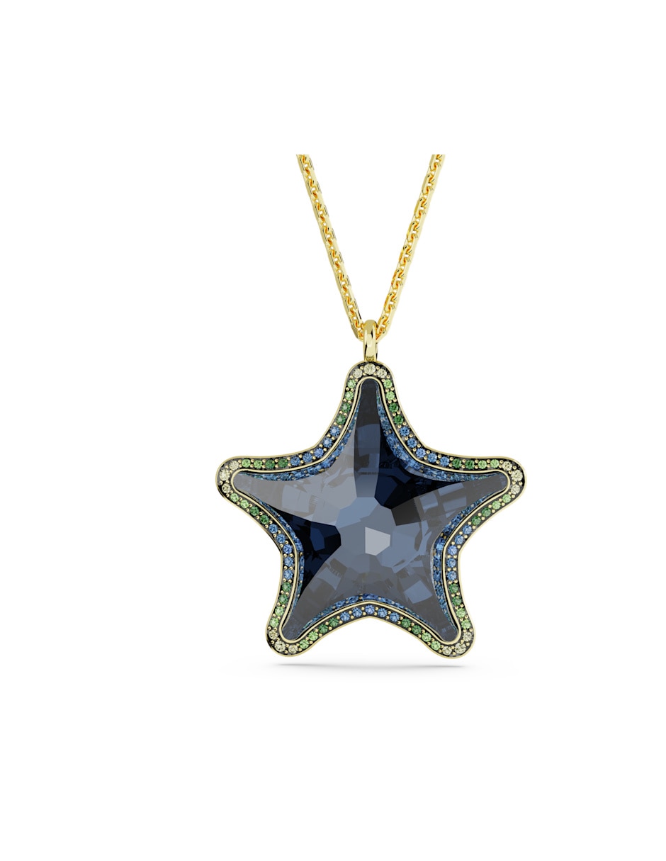 Collar de estrella Scs