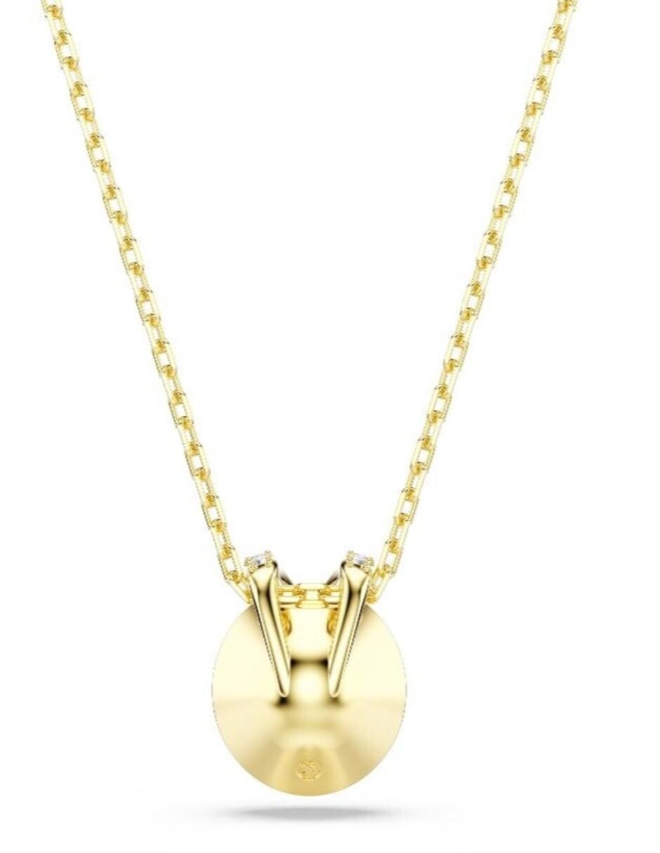 Collar Bella 2