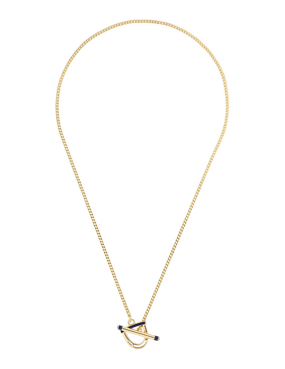 Collar de hebilla 2