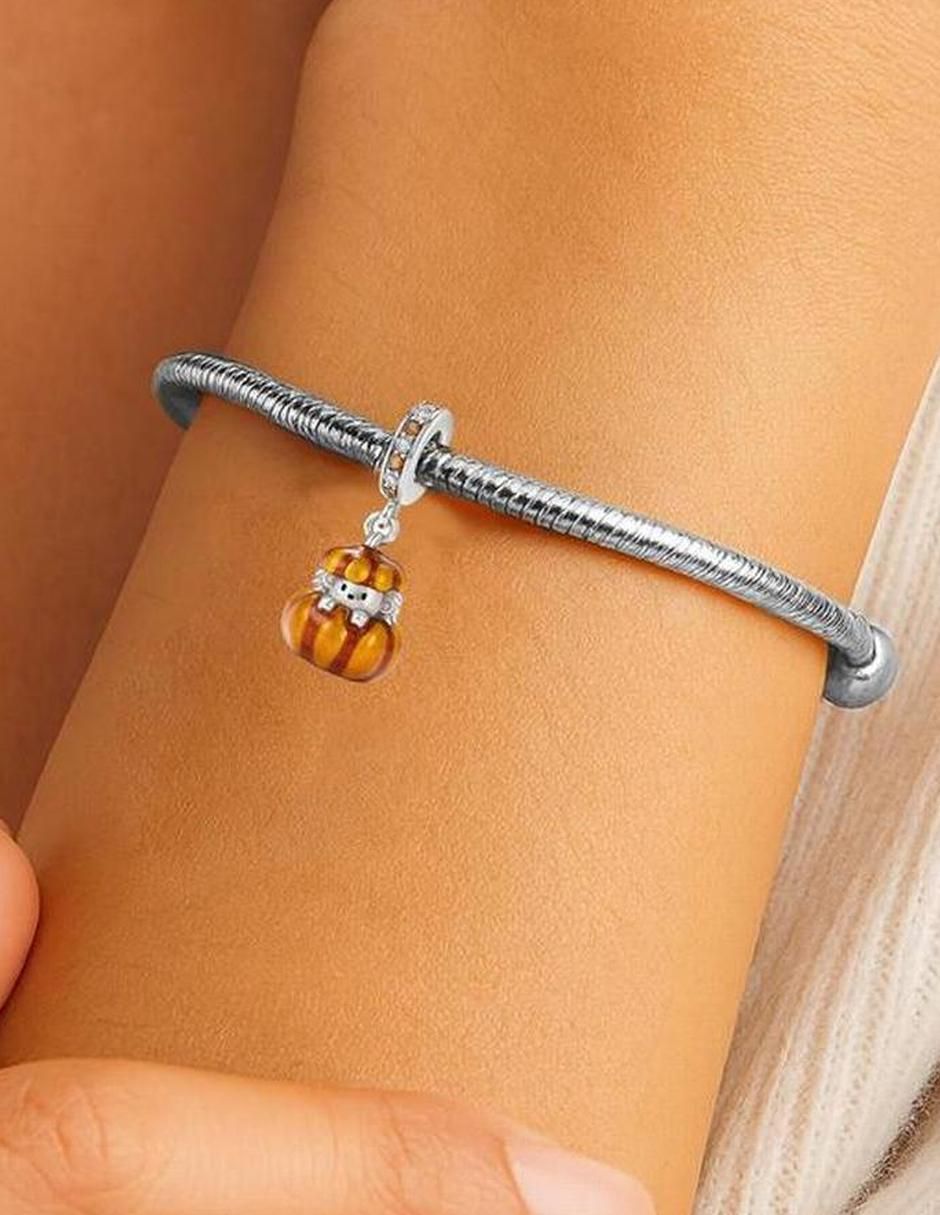 Charm de erizo de plata P 925 3