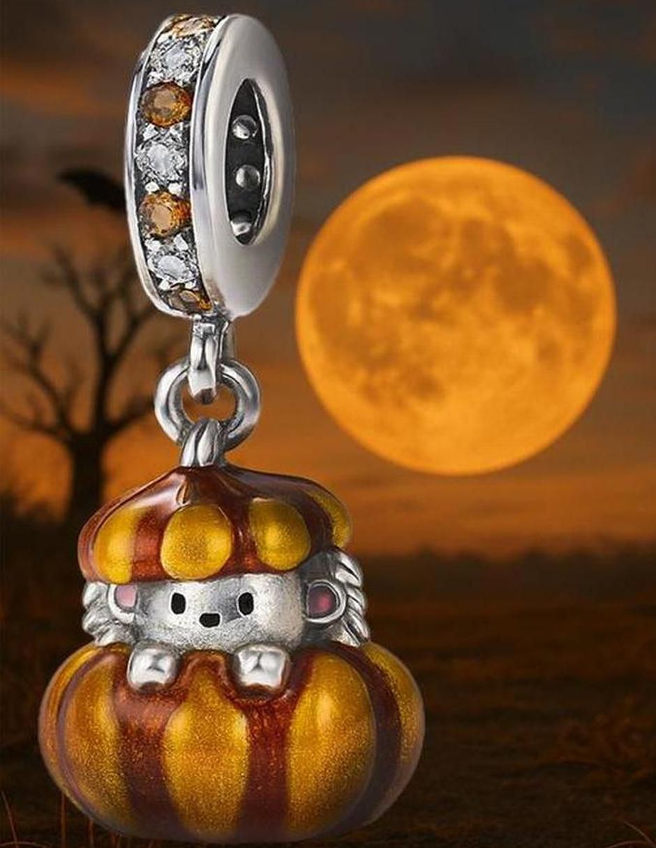 Charm de erizo de plata P 925 4