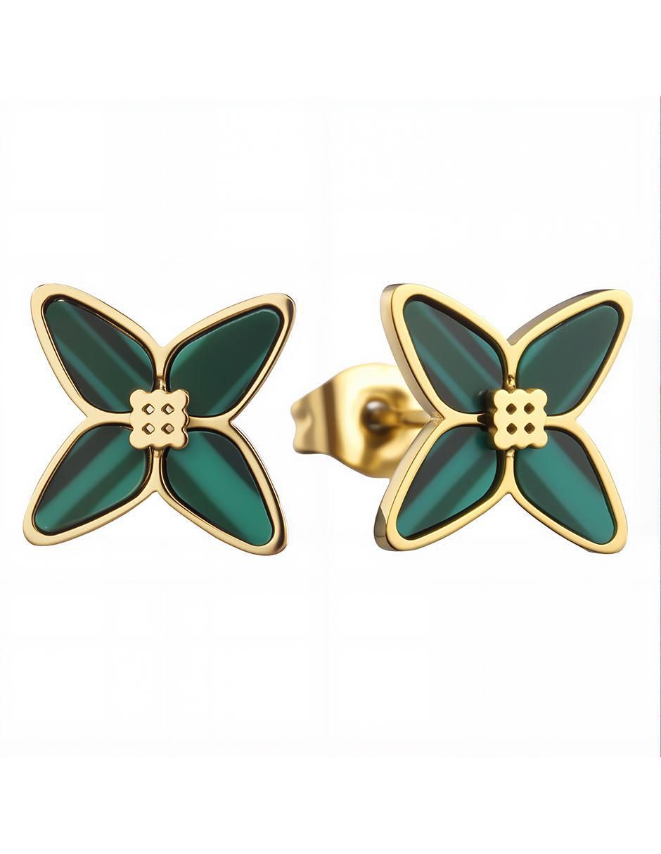 Set de collar y aretes Ladies RG 5