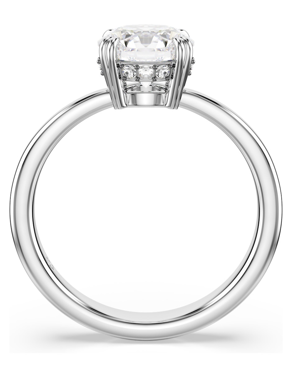 Anillo Re Stilla de rodio brillante 2