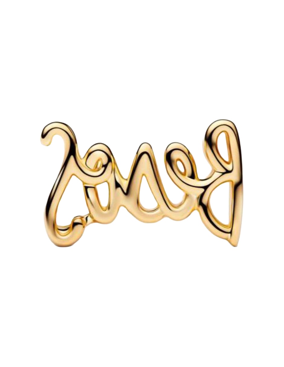 Charm Moments de plata P 925 4