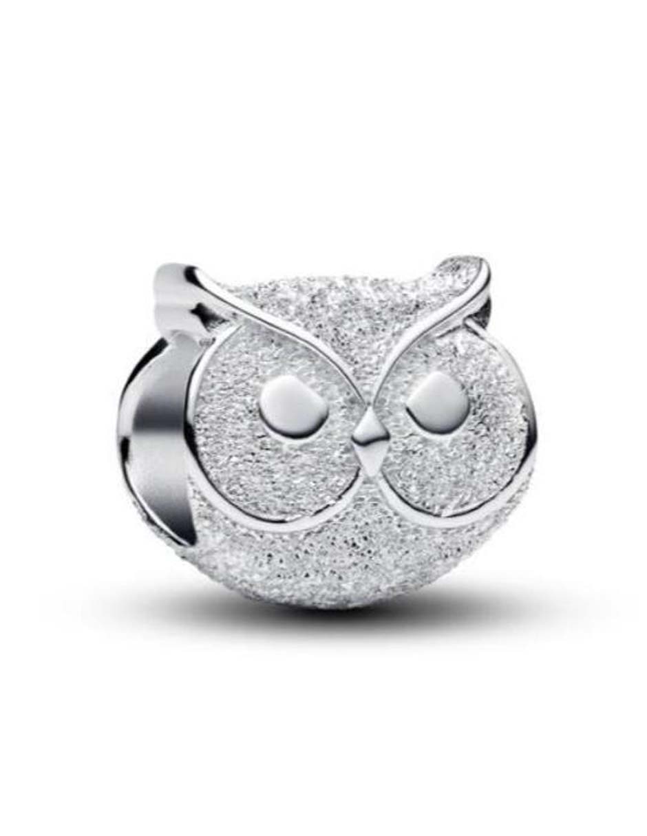 Charm de búho Moments de plata P 925