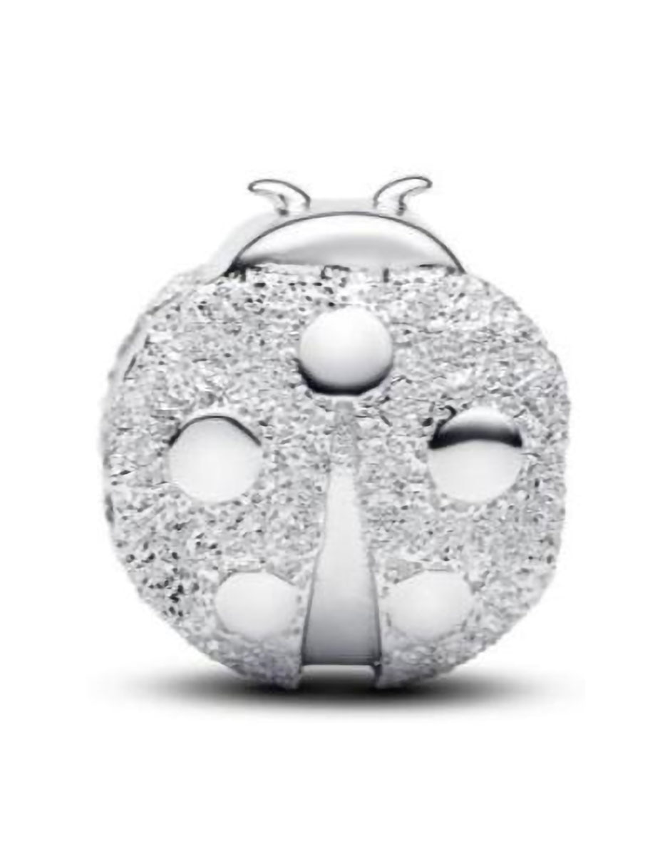 Charm de catarina Moments de plata P 925 3